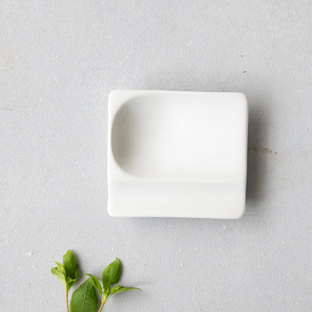 Modern Japanese Style Mini Handy Dishes with Color