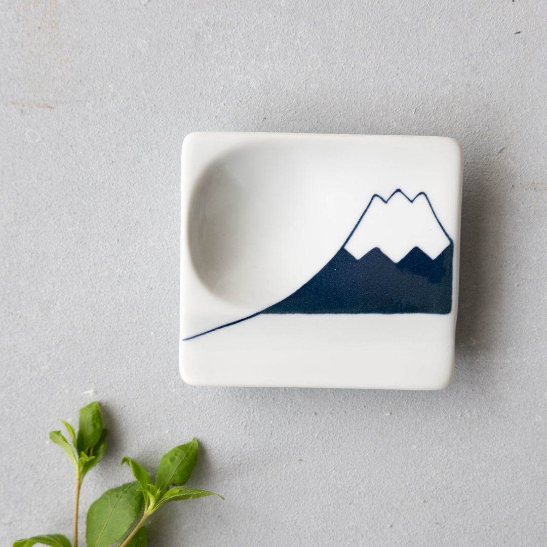 Modern Japanese Style Mini Handy Dishes with Blue