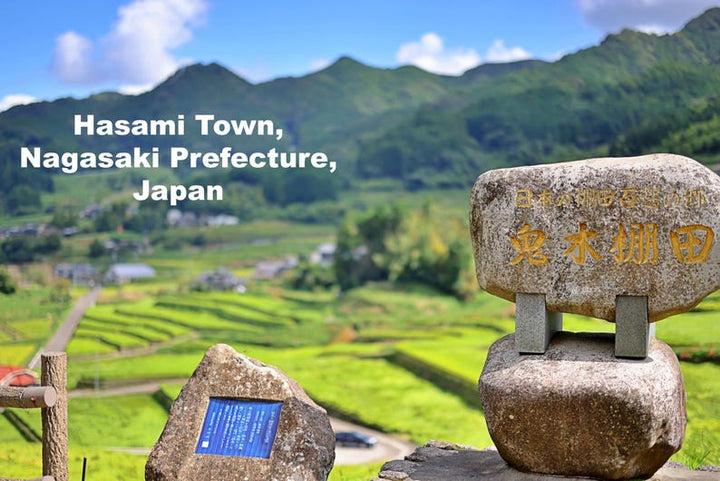 Modern Japanese Style Wa Pattern Square Side Plates Set of 2