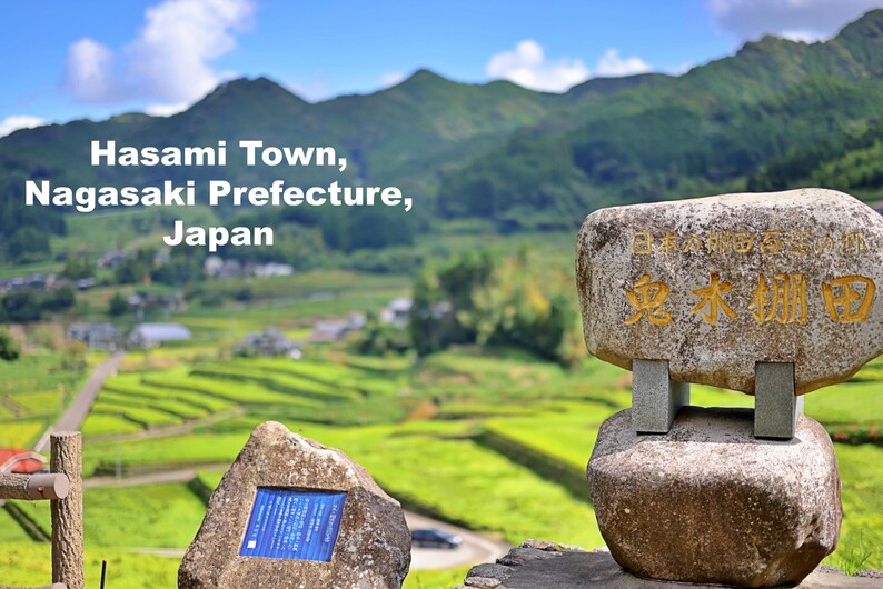 Modern Japanese Style Whale Shark Chopstick Rest - Set of 2