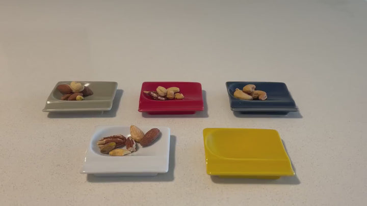 Modern Japanese Style Mini Handy Dishes with Color