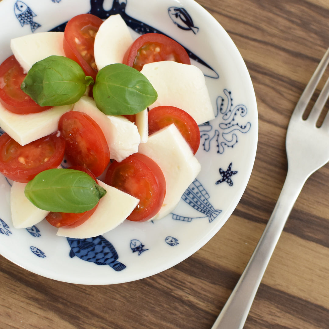 HASAMI | Marine Dessert Plate