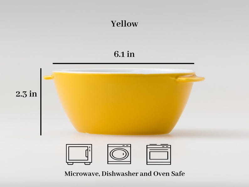 Modern Japanese Style Kids Snack and Soup Bowls with Lid