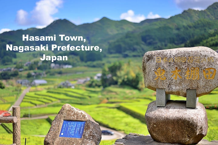 Modern Japanese Style Ceramic Kids Mug with Stable Handle