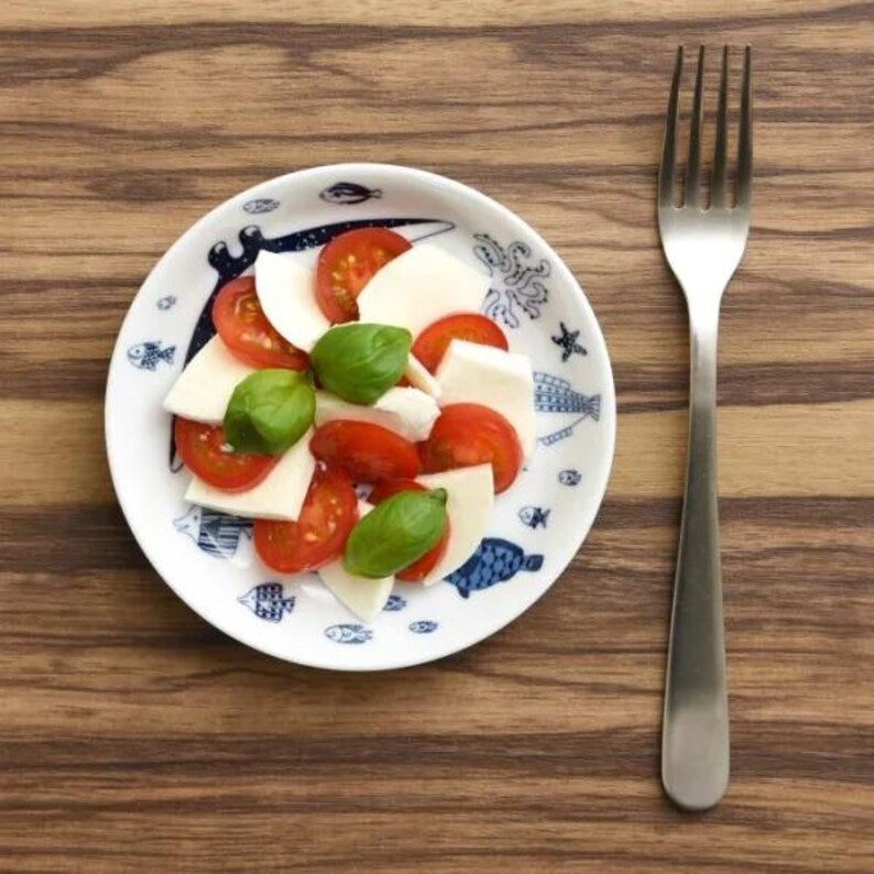 Modern Japanese Style Marine Small Appetizer Plates Set of 2