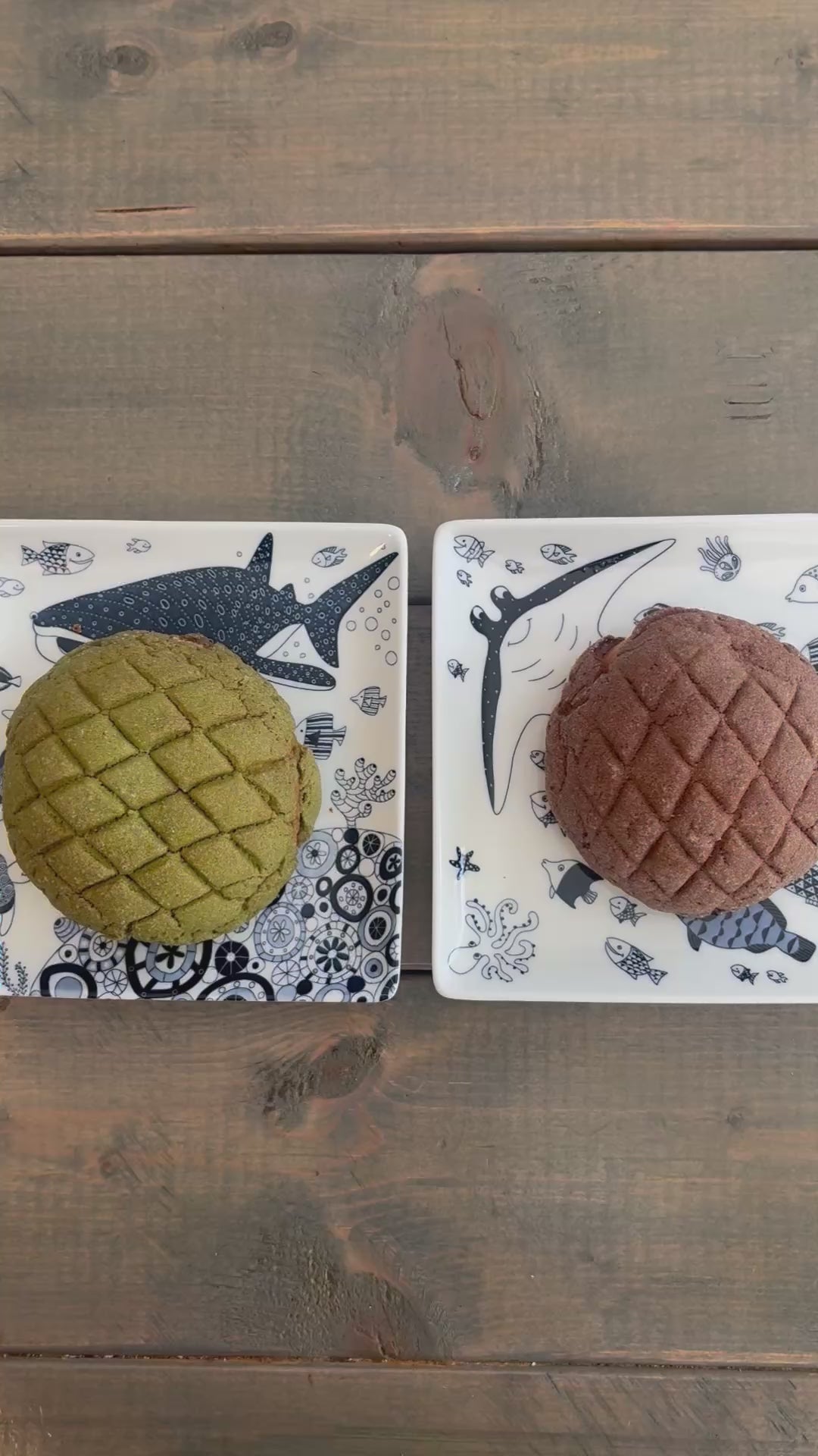 HASAMI | Marine Side Plate