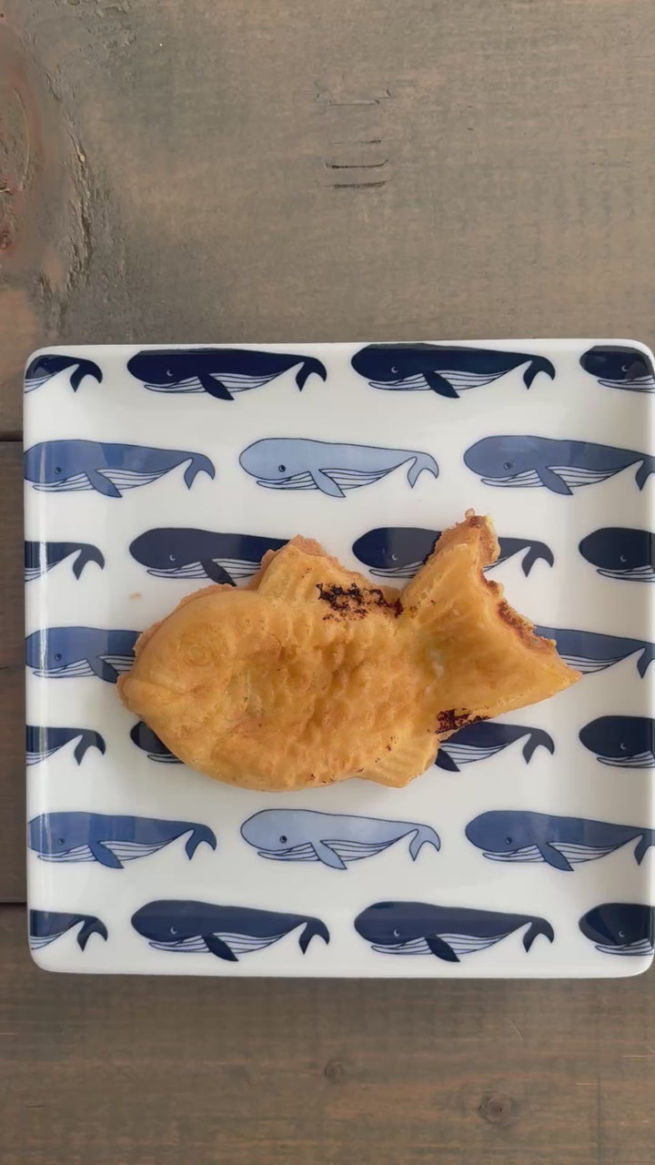 HASAMI | Whale and Anglerfish Pattern Side Plate