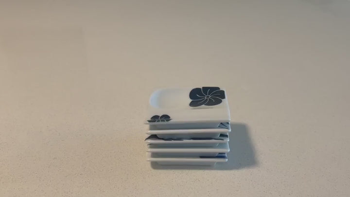 Modern Japanese Style Mini Handy Dishes with Blue