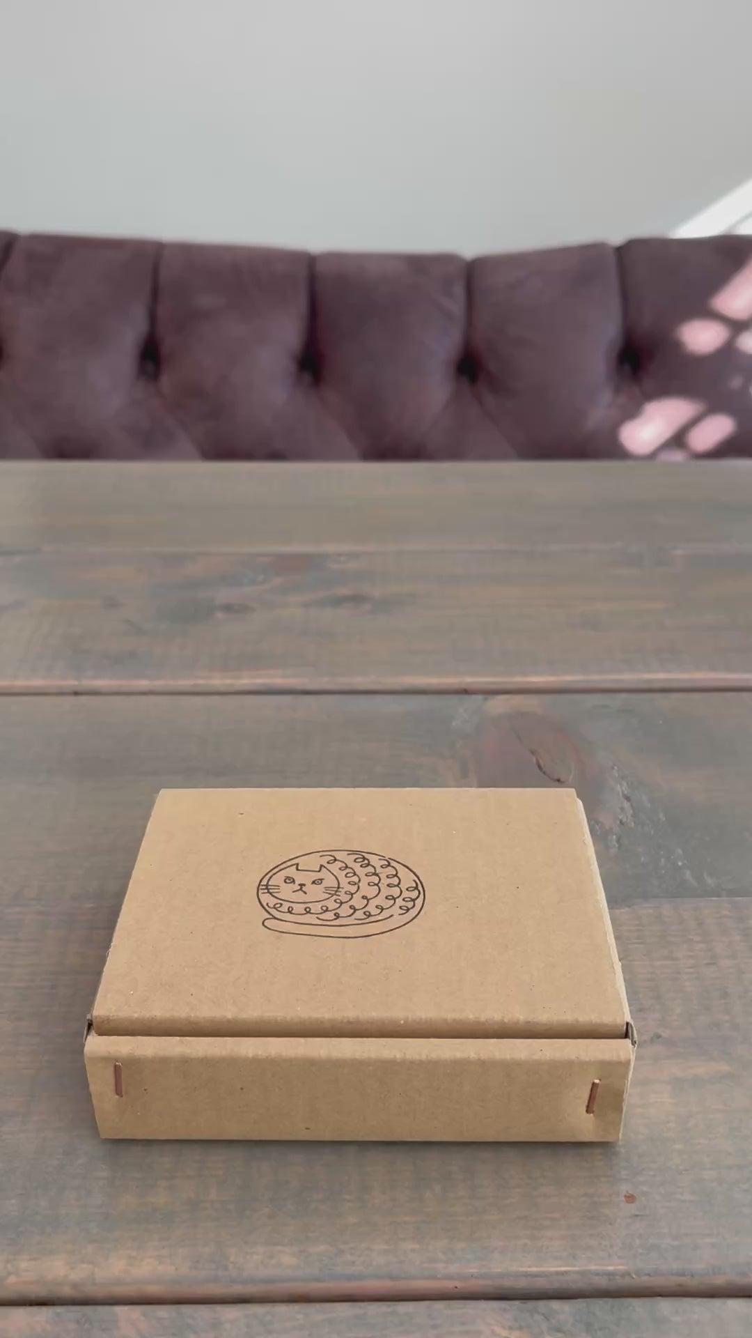 HASAMI | Grumpy Cat Snack Dish